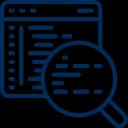 API & Custom Feature Development