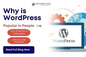 why-is-wordpress-popular-in-people